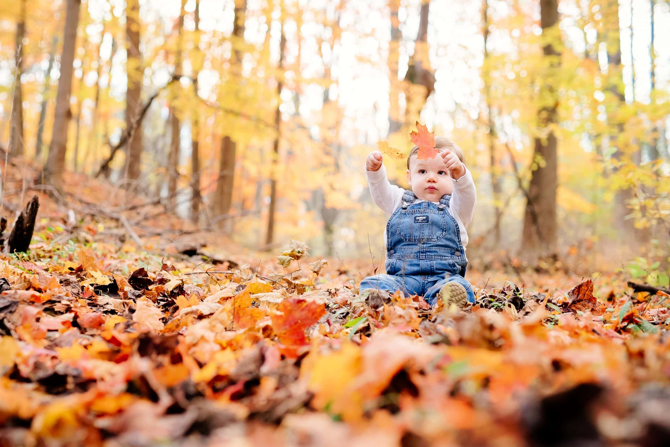 BabiesToddlersWebsite_006