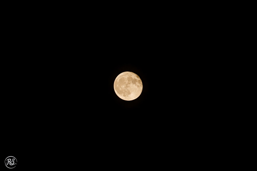 Full moon wedding in Baltimore