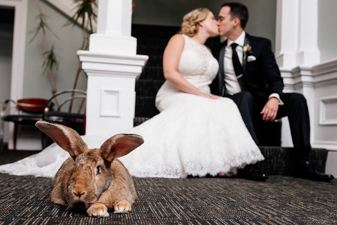 Maryland_Zoo_Wedding_33