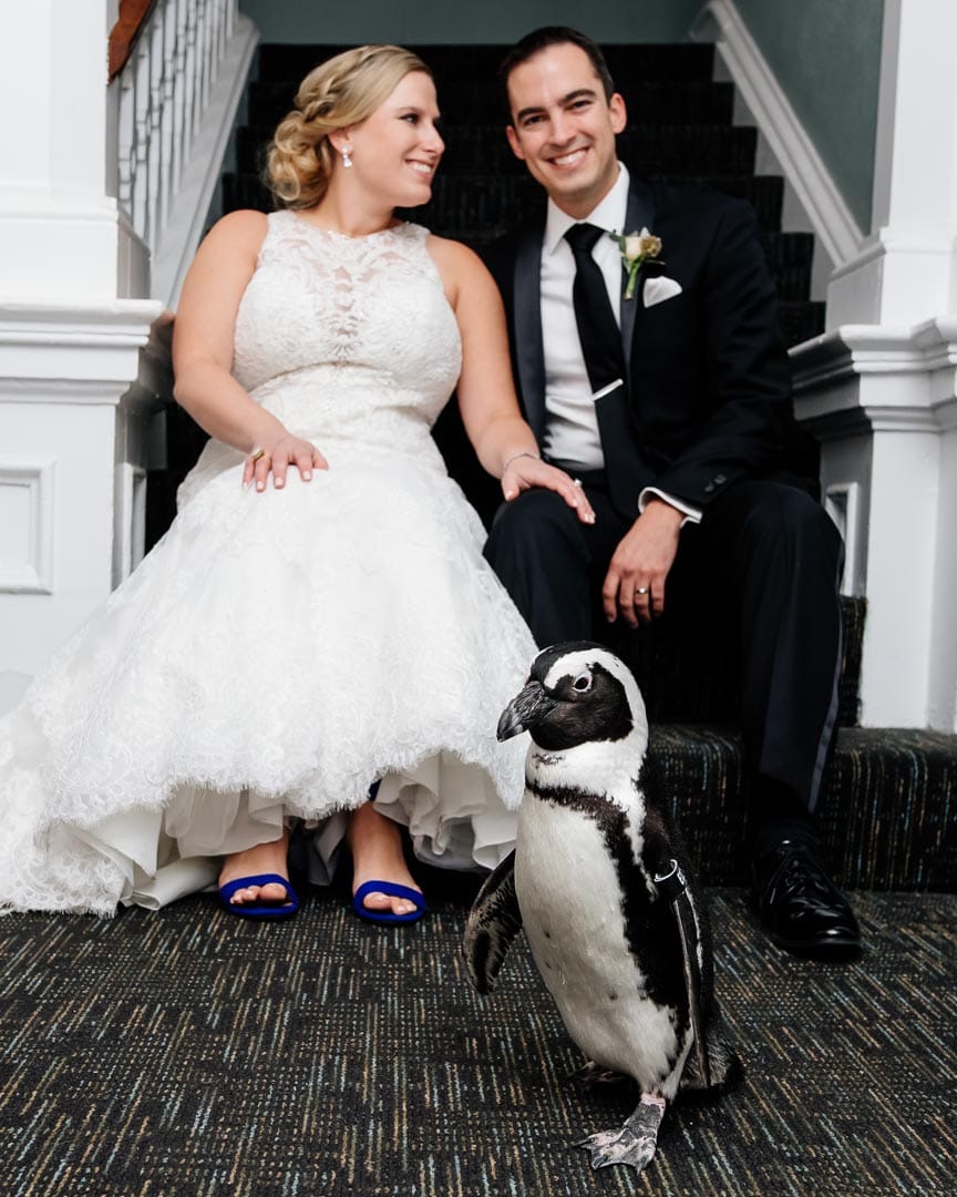 Maryland_Zoo_Wedding_35