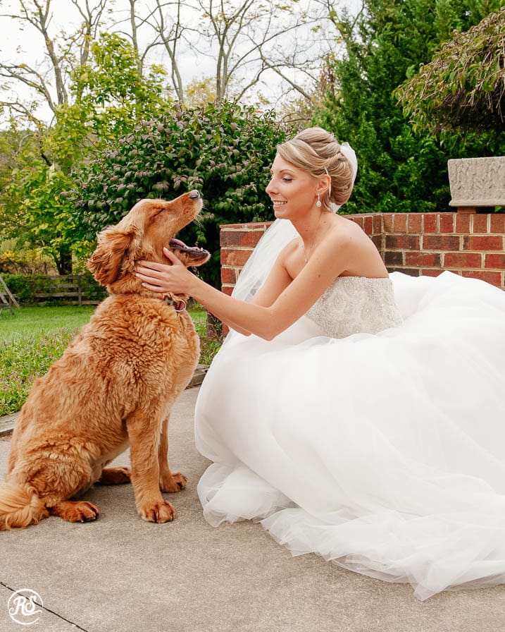 Bride's dog on her wedding day