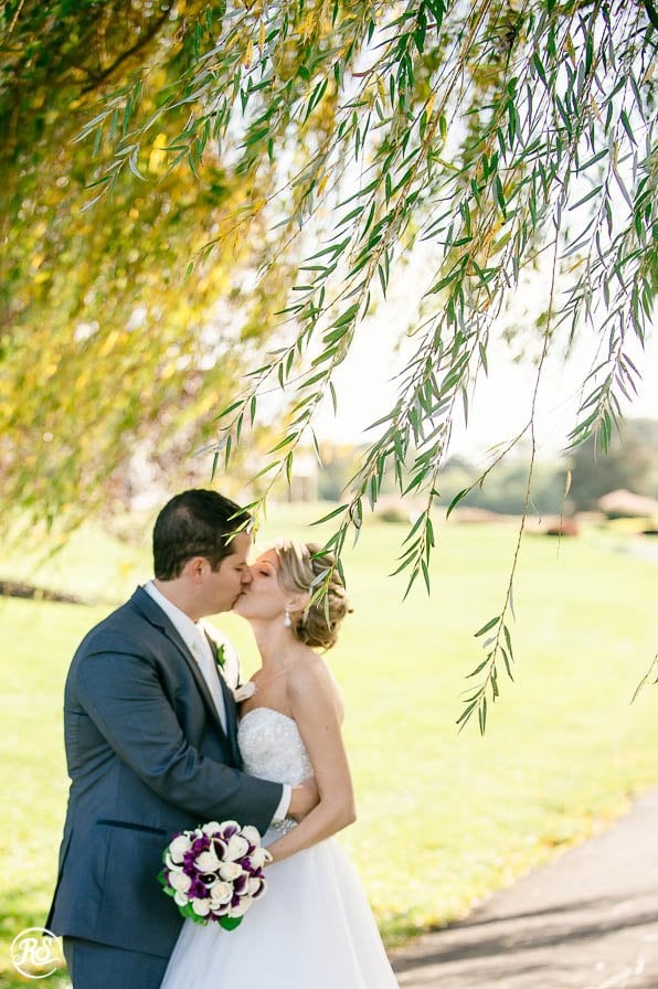 Links at Gettysburg weeping willow backdrop for wedding photos