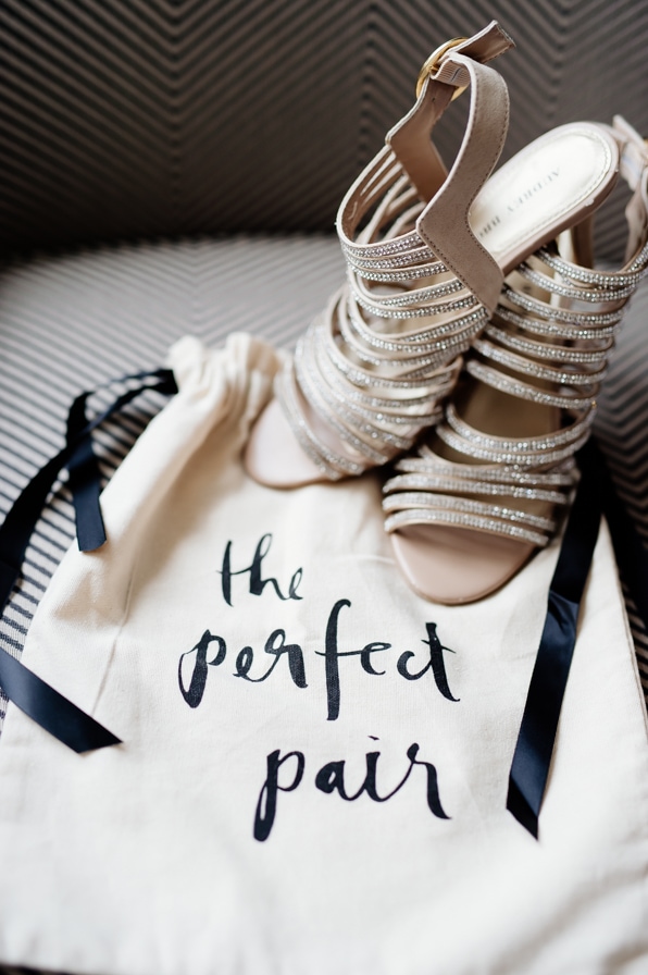 The perfect pair shoe bag