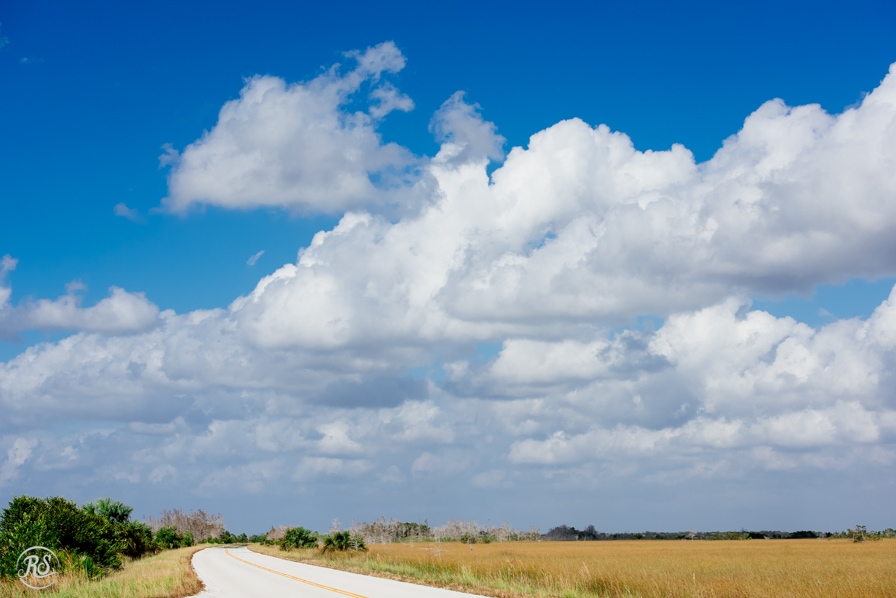 the open road