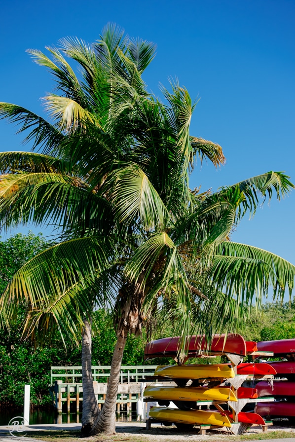 Florida_RachelSmithPhoto_046