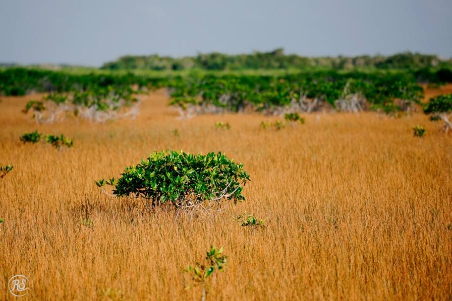 Florida_RachelSmithPhoto_047