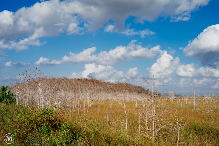Florida_RachelSmithPhoto_049