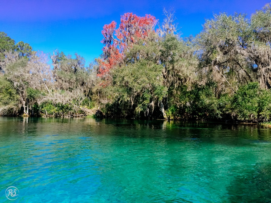 rainbow river turquoise water