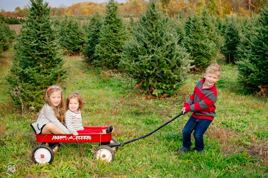 Kids playing at christmas tree farm in a wagon