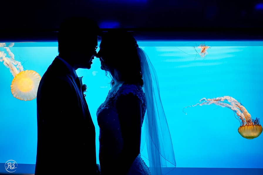 National_Aquarium_Wedding_Rachel_Smith_Photography_29