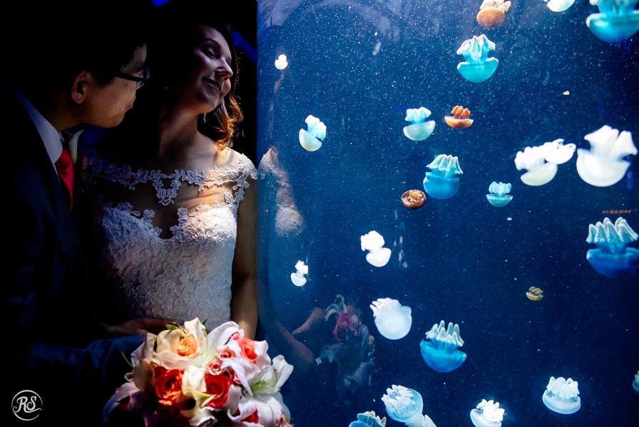 Jellyfish photos at Baltimore National Aquarium Wedding