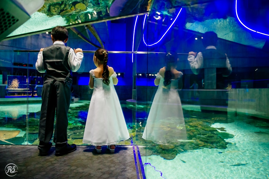 National_Aquarium_Wedding_Rachel_Smith_Photography_34
