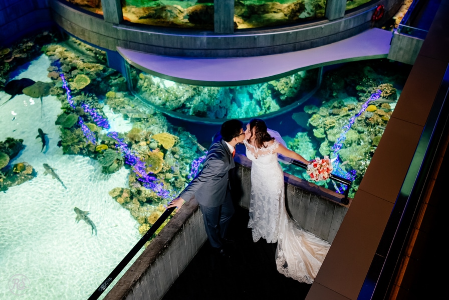 Photos of Baltimore National Aquarium Wedding