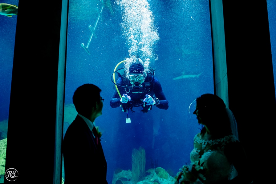National_Aquarium_Wedding_Rachel_Smith_Photography_39