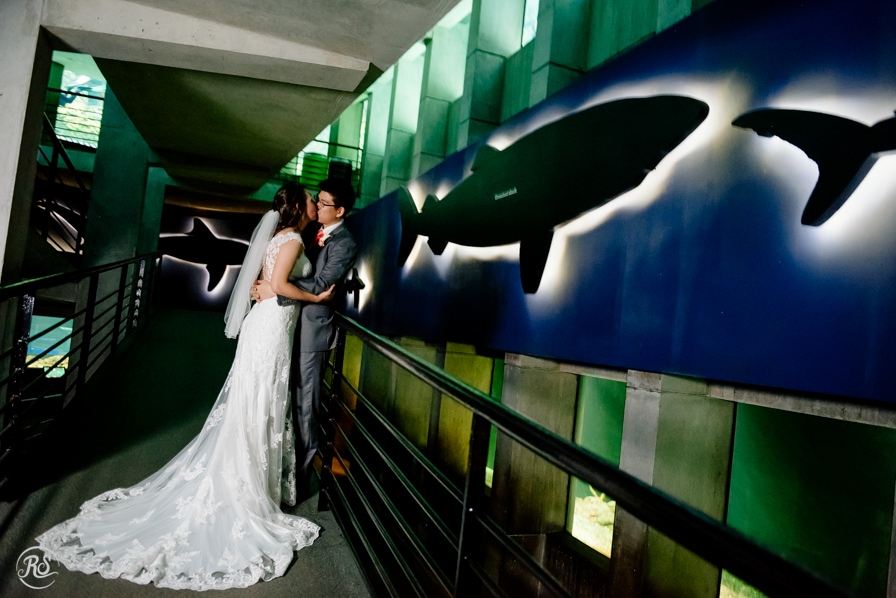 Shark Alley Wedding