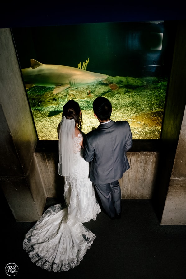 Bride and Groom photos in shark alley