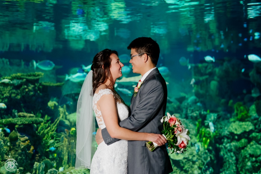 Bride and Groom photos at Baltimore National Aquarium Wedding
