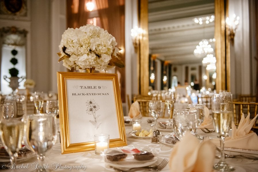 Belvedere_Truffles_Catering_2014_Rachel_Smith_Photo_039