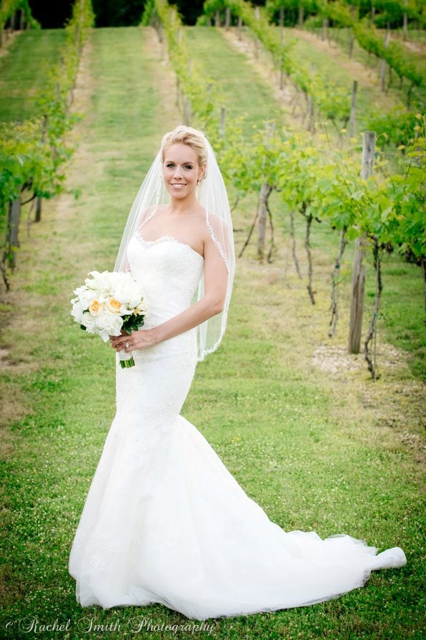 Vineyard Wedding Bridal Portrait 