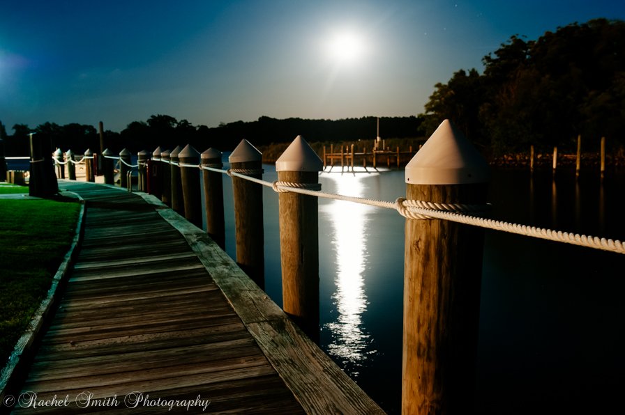 silver swan bayside