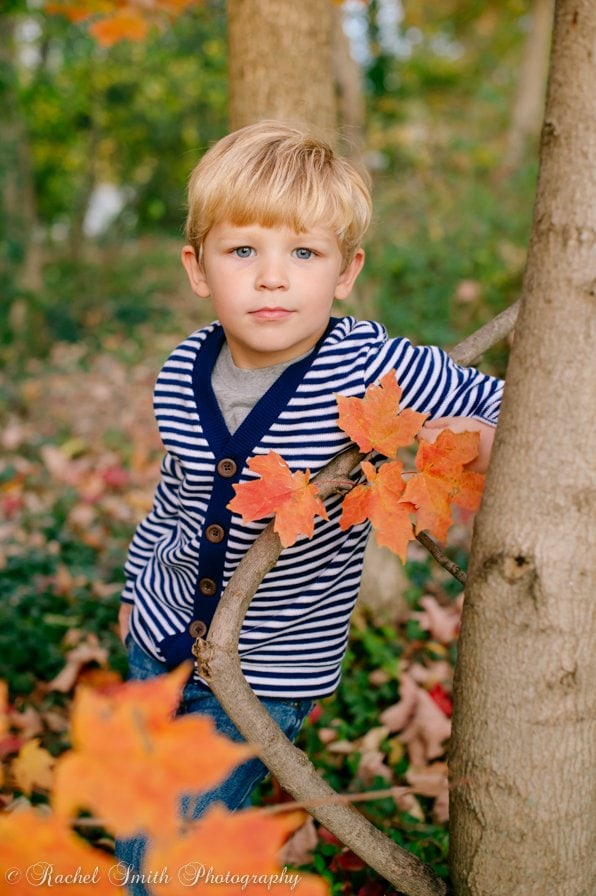 Family Photos with Orange Leaves, Fall Family Photos in Maryland