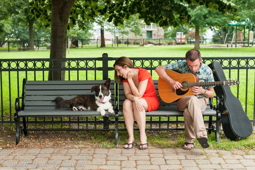Celebrating Love, Engagements, and Your Furry Family