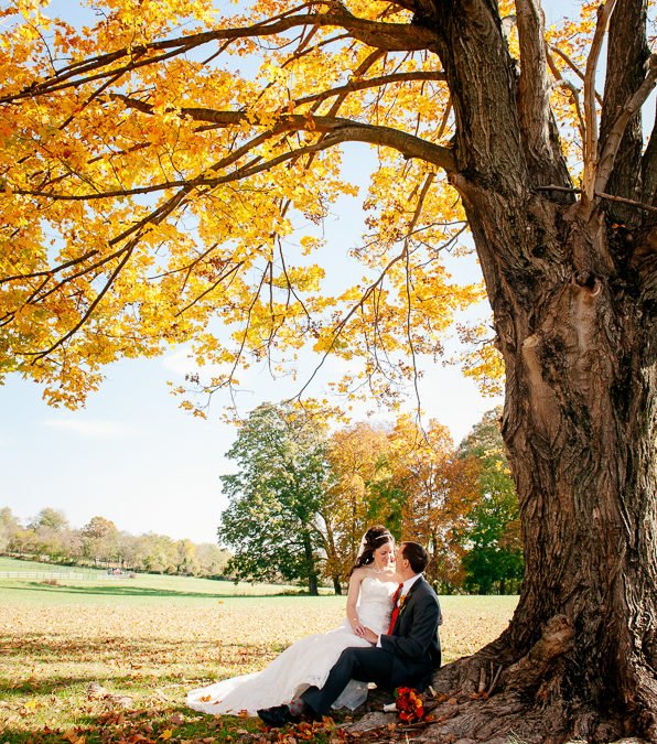 A Perfect Autumn Wedding