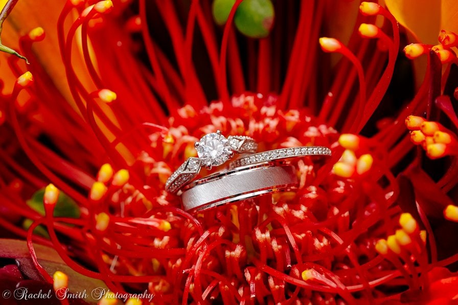 tropical red flower with wedding rings