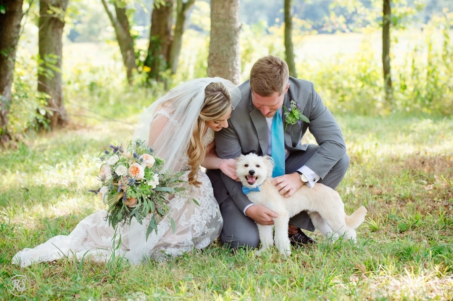 Bowties for dog to wear on wedding day