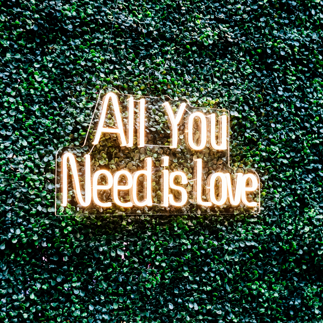 All you need is love neon sign