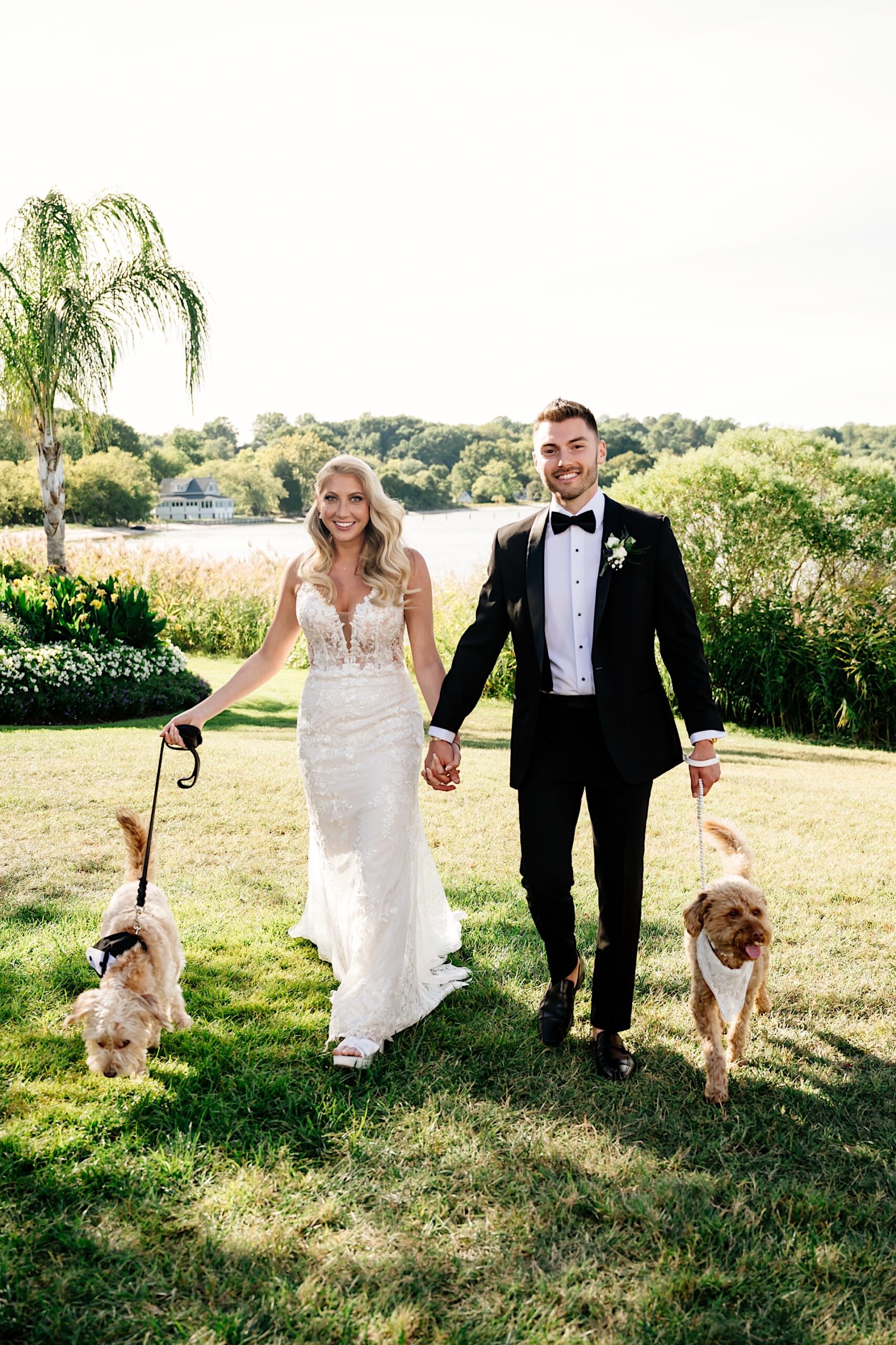 bride and groom with their dogs on their wedding day