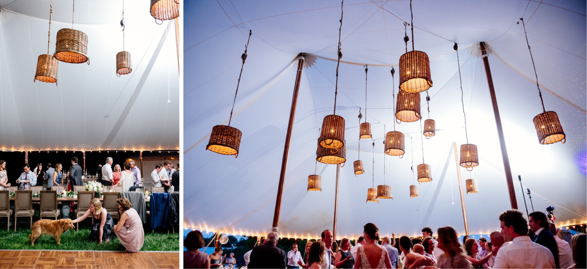 family dog enjoying backyard wedding